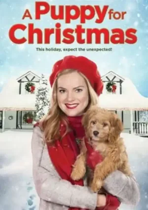Une demande en mariage pour Noël