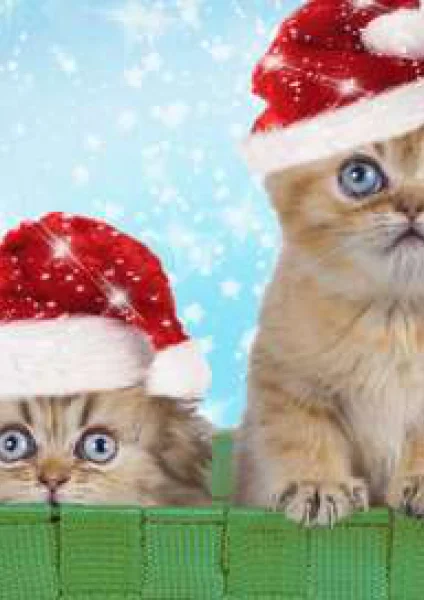 Le grand bêtisier de Noël