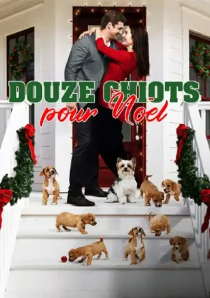 Douze chiots pour Noël