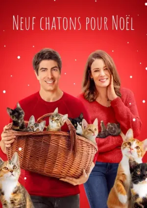 Neuf chatons pour Noël